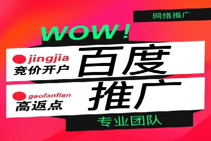 百度优化推广成功案例：品牌曝光度的大幅提升